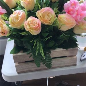 Meet your Posher, Elvia